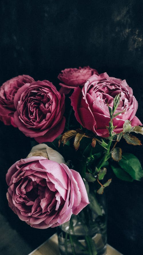 桌上摆放着新鲜精致的玫瑰的花瓶 · 免费素材图片