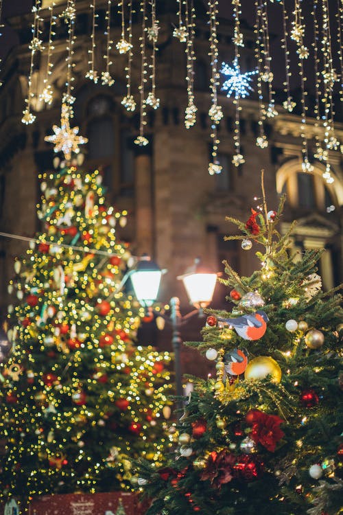 绿色圣诞树的小玩意和灯串 · 免费素材图片