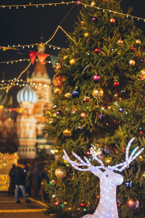 圣诞树照片 · 免费素材图片