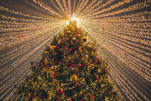绿色圣诞树与灯串 · 免费素材图片