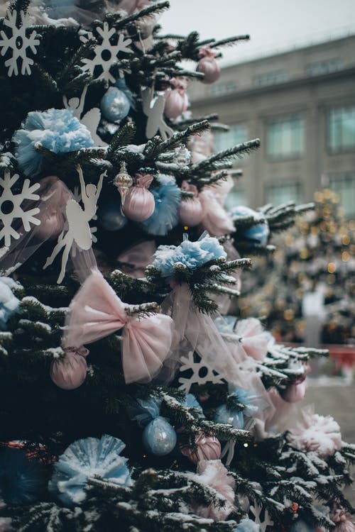 圣诞树照片 · 免费素材图片