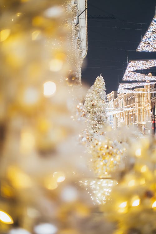 圣诞树上的灯串的选择性聚焦照片 · 免费素材图片