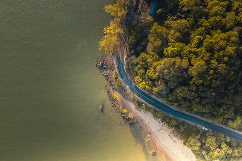 水体旁边的绿树的鸟瞰图 · 免费素材图片