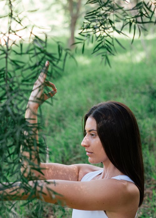 宁静的女人，在森林里练瑜伽 · 免费素材图片