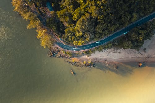 水体旁的绿树和道路的鸟瞰图 · 免费素材图片