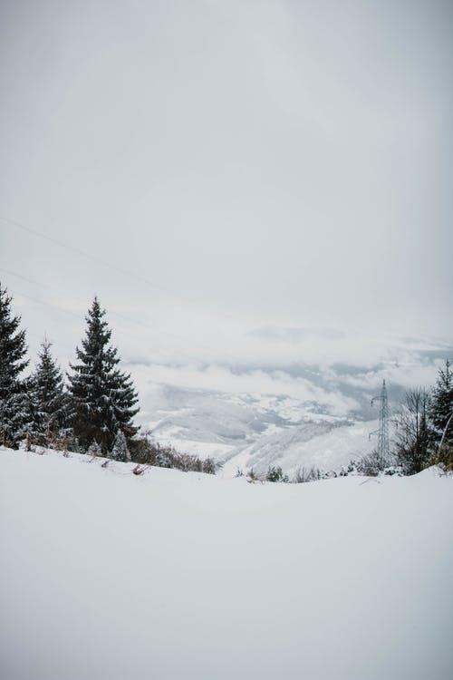 白雪皑皑的地形与附近山上的树木 · 免费素材图片