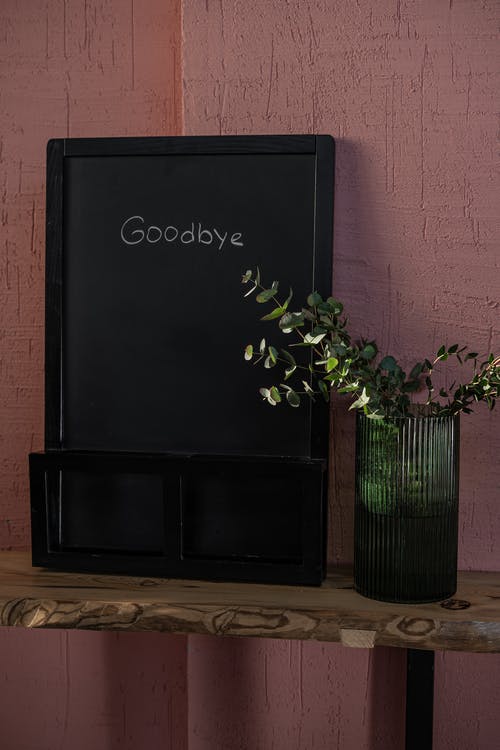 黑色的木盒子，绿色的植物 · 免费素材图片