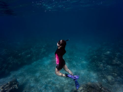 水下黑色和粉红色泳装的女人 · 免费素材图片