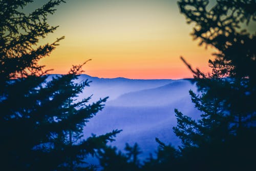 落日的天空翻山越岭和松树林 · 免费素材图片