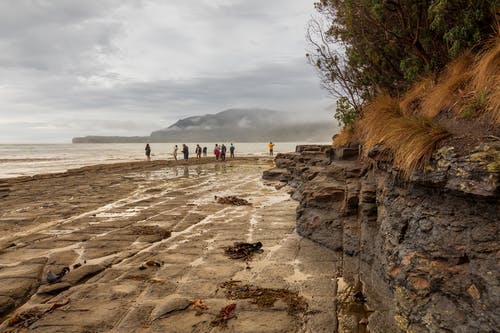 有关假期, 塔斯马尼亚, 天性的免费素材图片