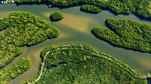 夏季河附近的绿色岛屿 · 免费素材图片