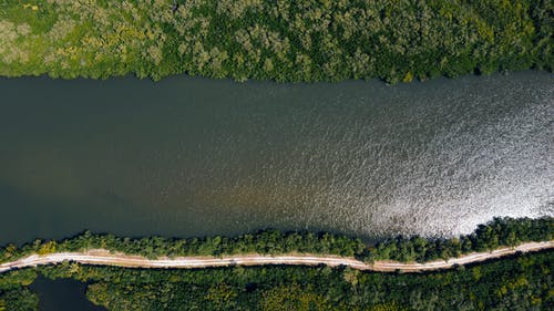 绿色森林和通路之间的河的壮丽景色 · 免费素材图片