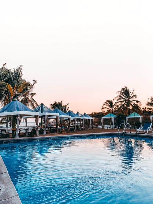 宁静的空池畔，棕榈树和遮阳伞在热带度假胜地 · 免费素材图片