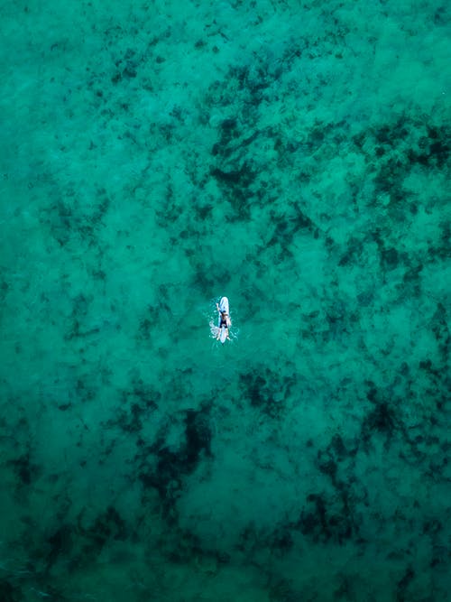 人在冲浪板上游泳的鸟瞰图 · 免费素材图片