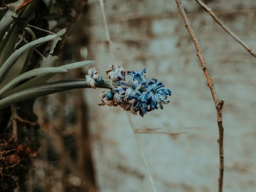 有关优雅, 充满活力, 冷静的免费素材图片