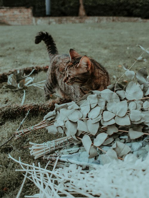 有关伴侶, 全身, 冷靜的免费素材图片