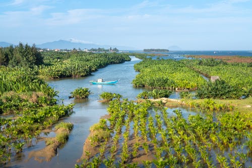有关亚马逊河, 冷静, 南美洲的免费素材图片