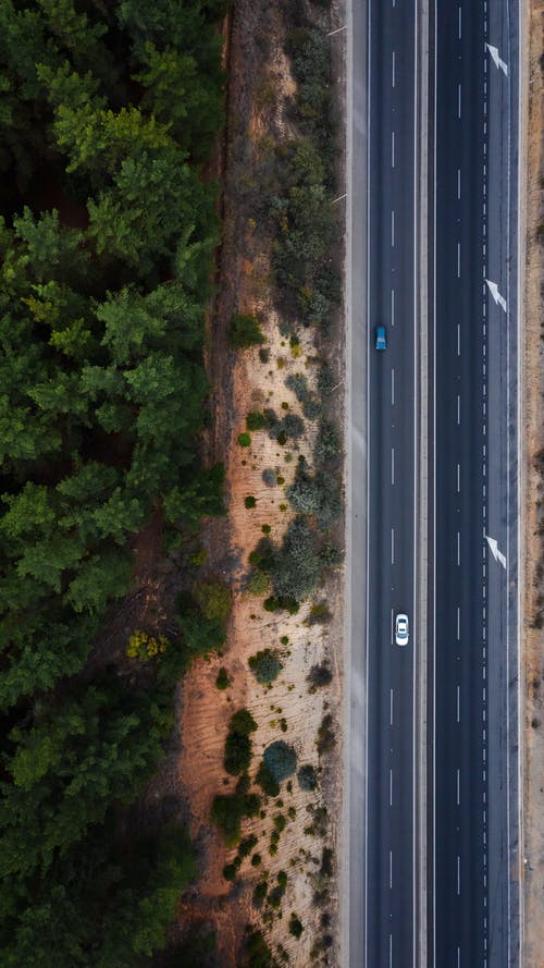 穿过森林的沥青公路 · 免费素材图片