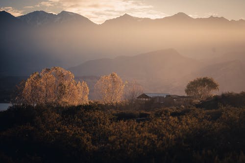山附近的树木 · 免费素材图片