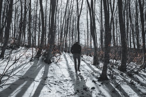 黑夹克的人在积雪的地面上行走 · 免费素材图片