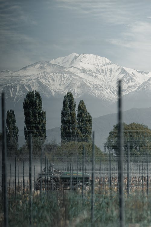 白雪皑皑的山附近的农田 · 免费素材图片