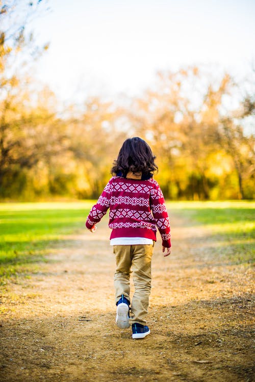 在红色和白色的毛衣，走在棕色领域的孩子的背影照片 · 免费素材图片