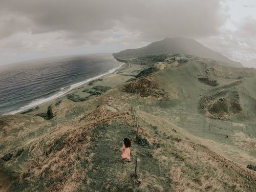 粉红色的外套，站在水域附近的绿色草地上的女人 · 免费素材图片