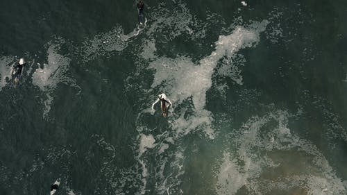 潜水衣的人在海洋中冲浪 · 免费素材图片