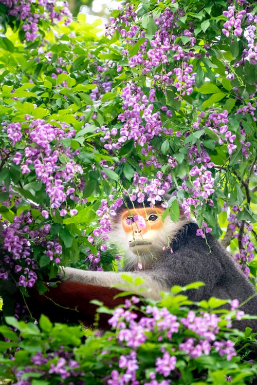 有关休息, 充满活力, 分公司的免费素材图片