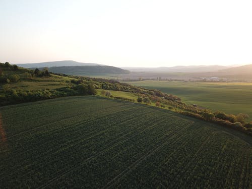 绿草地 · 免费素材图片