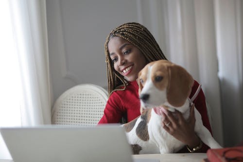 有关动物, 可爱, 可爱的的免费素材图片