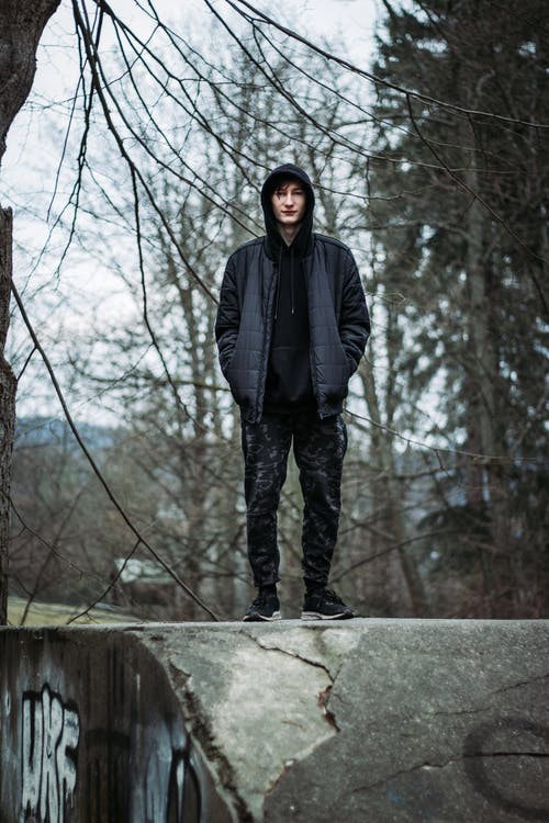 有关人, 兜帽, 分支机构的免费素材图片