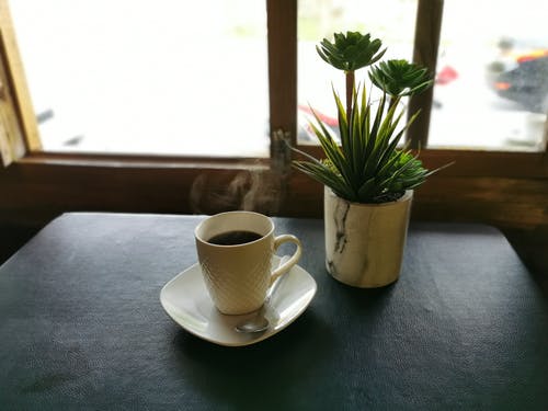 杯热咖啡和异国室内植物在窗户附近的桌子上 · 免费素材图片