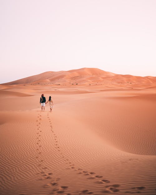 有关al wahat al dakhla沙漠, 一对, 乾旱的免费素材图片