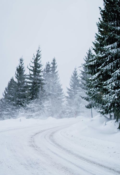 有关下雪, 下雪的, 下雪的天气的免费素材图片