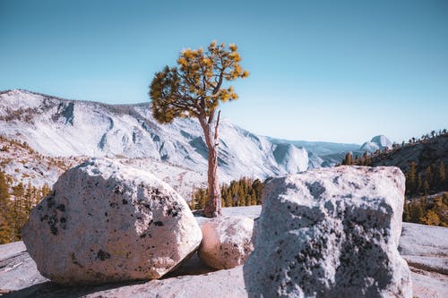 有关天性, 岩石, 景观的免费素材图片