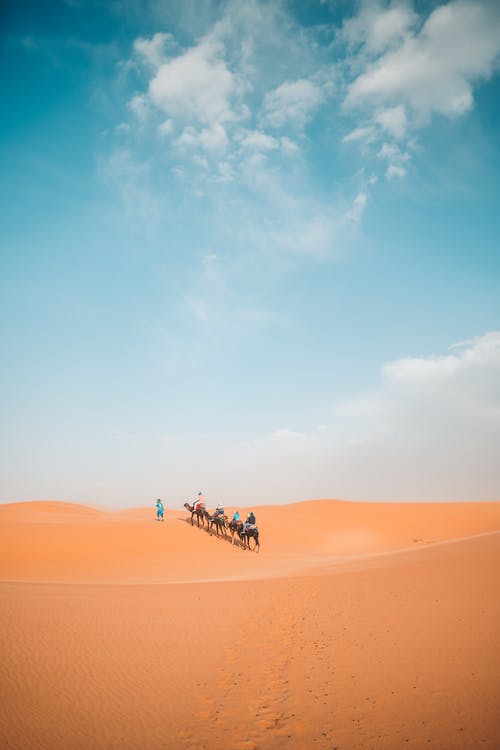 有关乾的, 冒险, 天空的免费素材图片