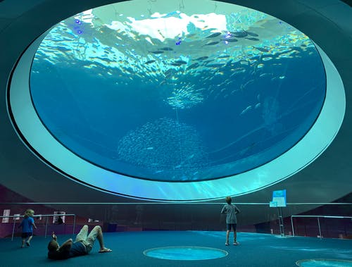 人们参观水族馆 · 免费素材图片