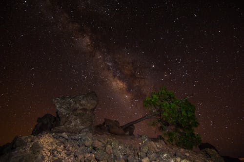 有关galaxy, 勘探, 夜空的免费素材图片