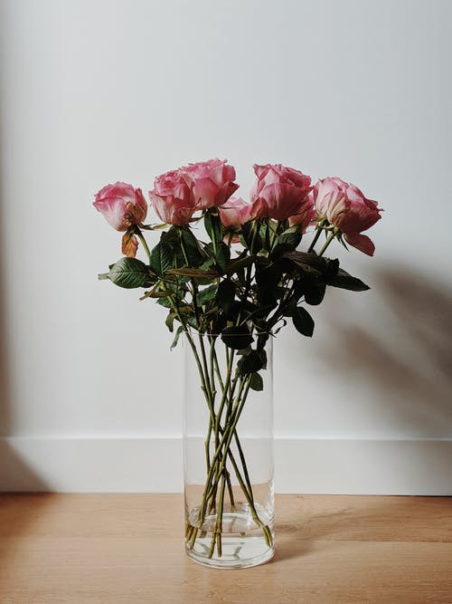 透明玻璃花瓶中的粉红玫瑰 · 免费素材图片