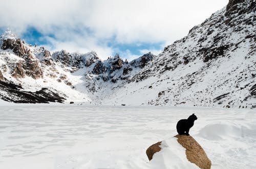 白雪皑皑的山 · 免费素材图片