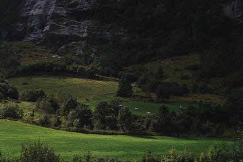 有关天性, 山丘, 挪威的免费素材图片