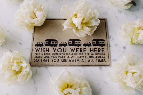 有关信用卡, 植物群, 纸的免费素材图片