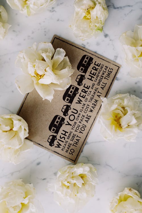 有关信用卡, 植物群, 纸的免费素材图片