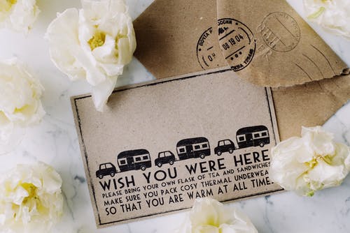 有关信封, 信用卡, 植物群的免费素材图片