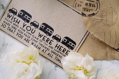 有关信用卡, 植物群, 纸的免费素材图片