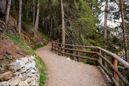 有关Copyspace, 人行道, 假期的免费素材图片