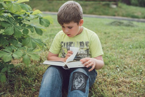 男孩读一本书的照片 · 免费素材图片