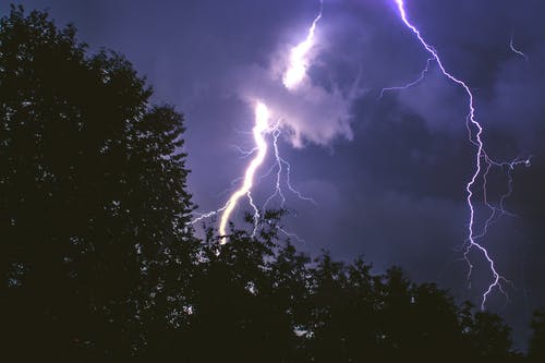 夜间森林雷击 · 免费素材图片