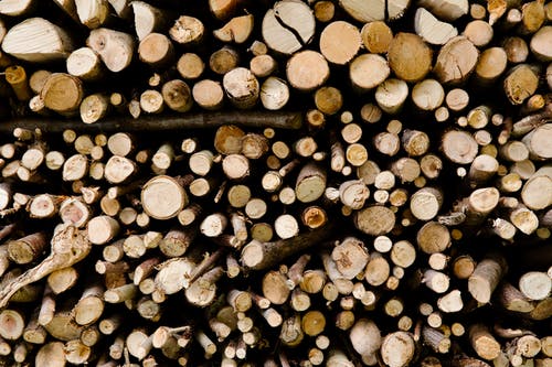 有关切碎的木头, 升火的木柴, 圆木条的免费素材图片